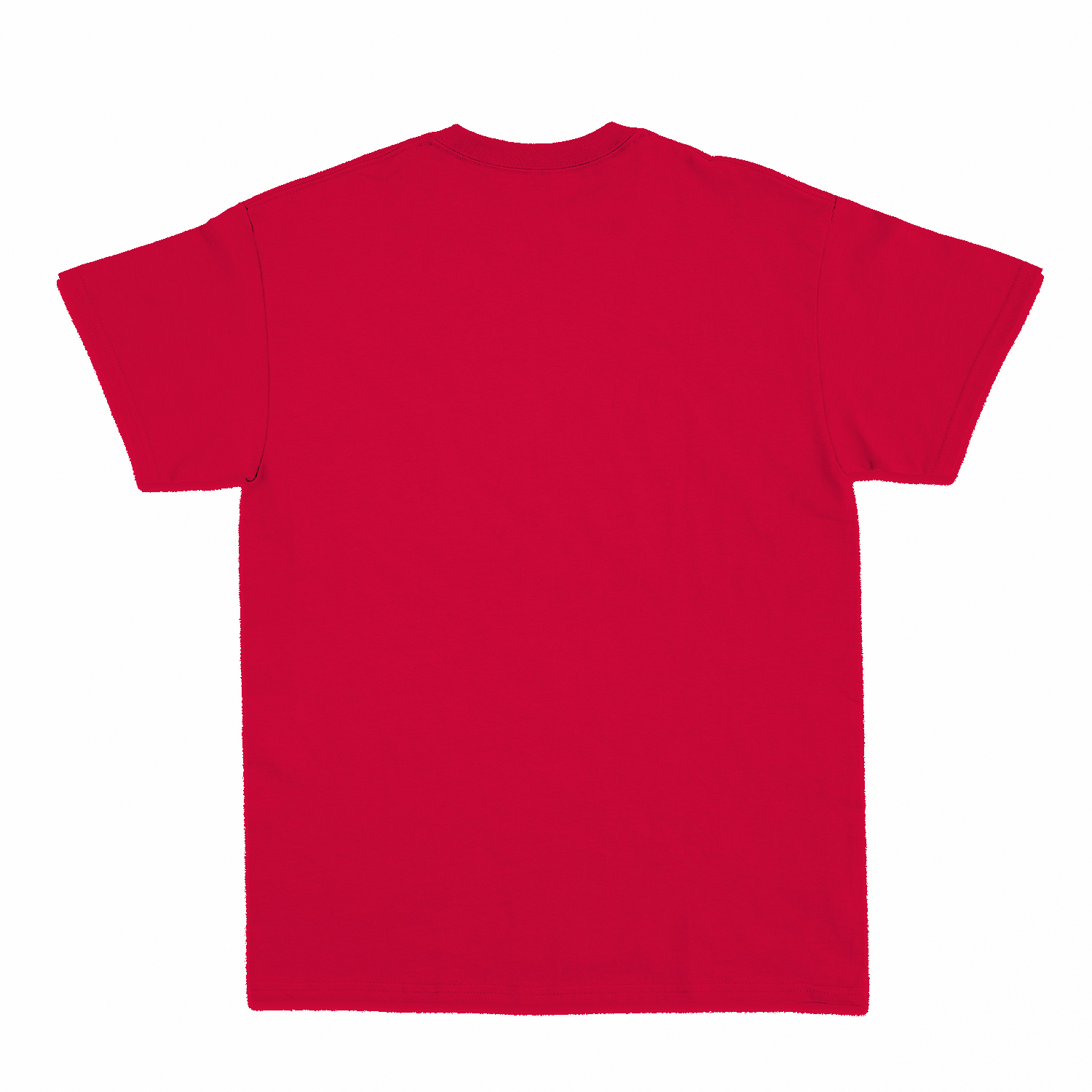 Premium Unisex T-Shirt (RST)-zoom-31