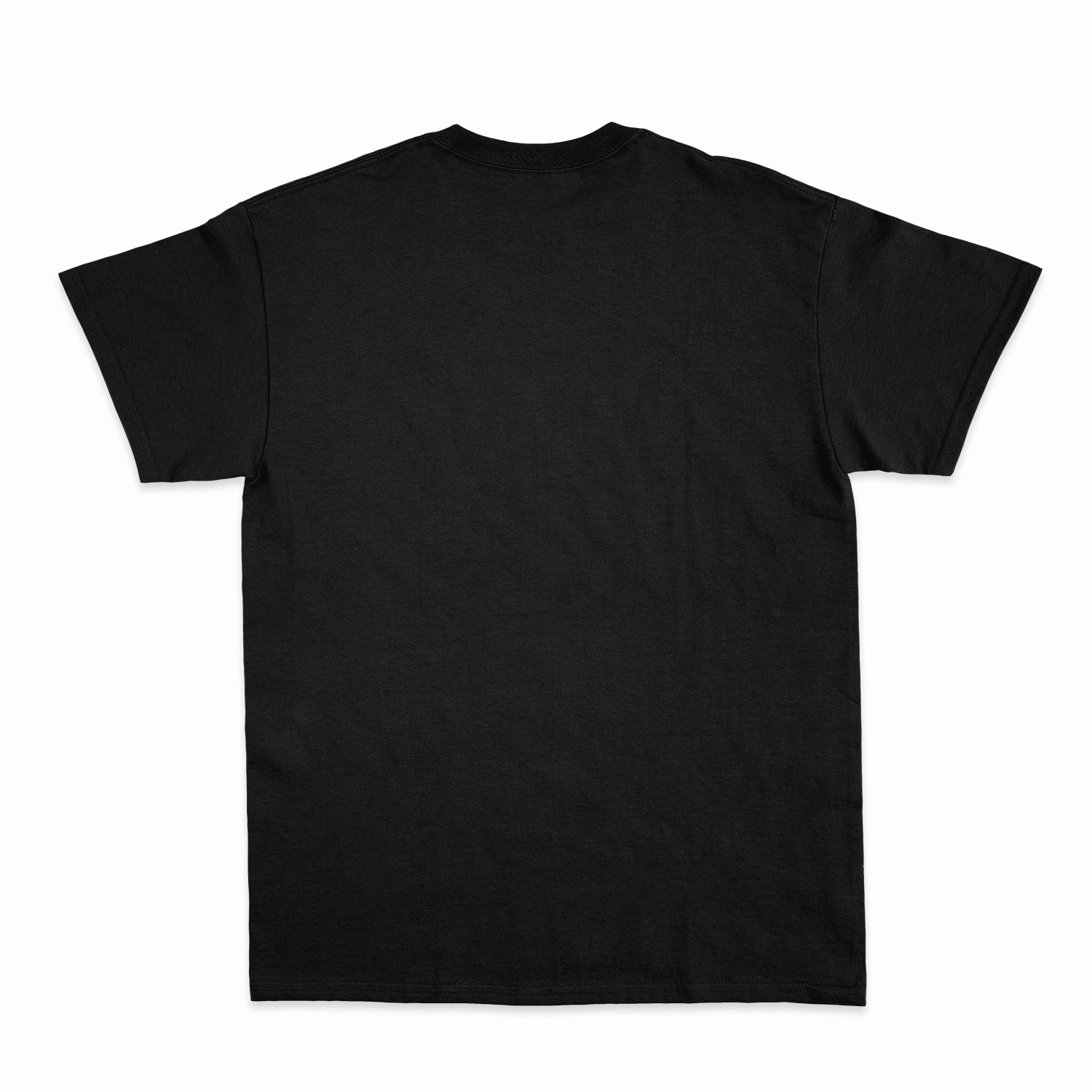 Premium Unisex T-Shirt (RST)-zoom-25