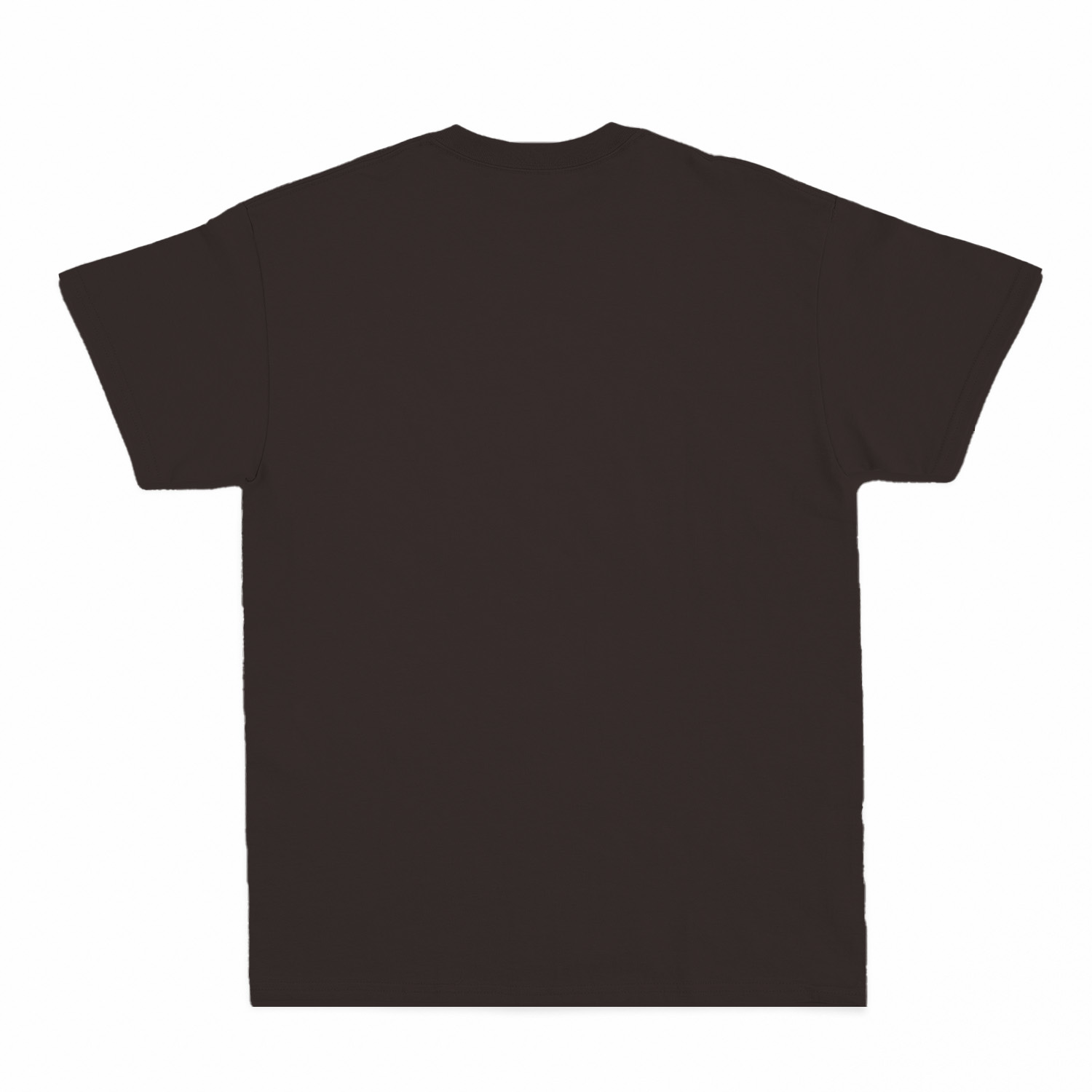 Premium Unisex T-Shirt (RST)-47