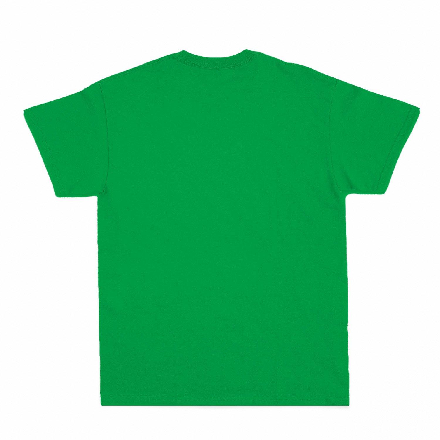 Premium Unisex T-Shirt (RST)-zoom-45
