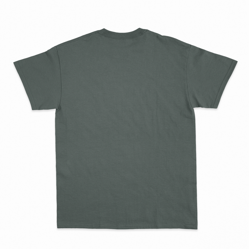 Premium Unisex T-Shirt (RST)-zoom-