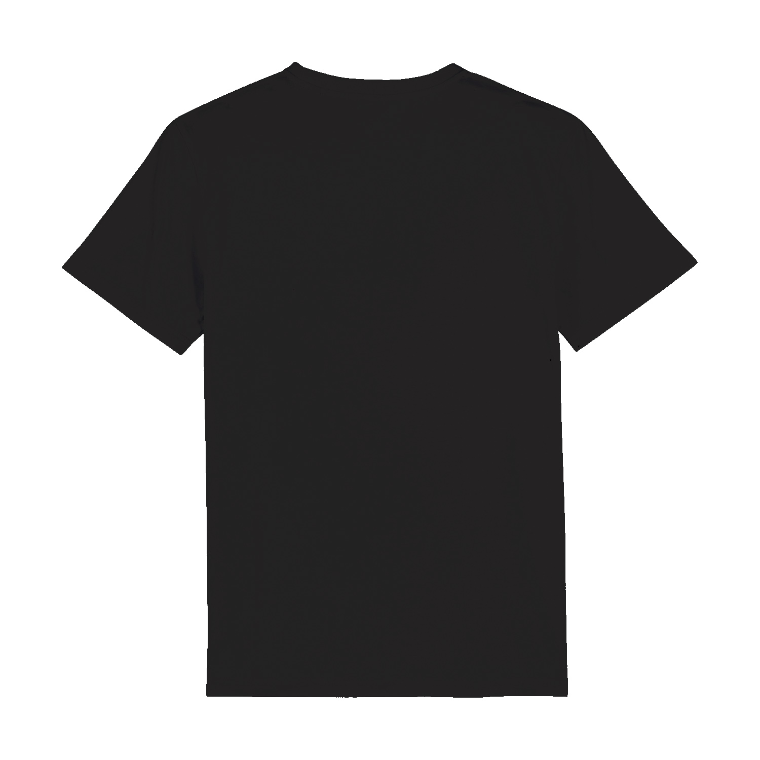 Premium Unisex Bio T-Shirt (RST)-zoom-13