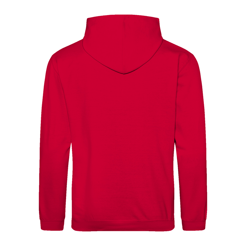 Premium Unisex Hoodie (RST)-zoom-