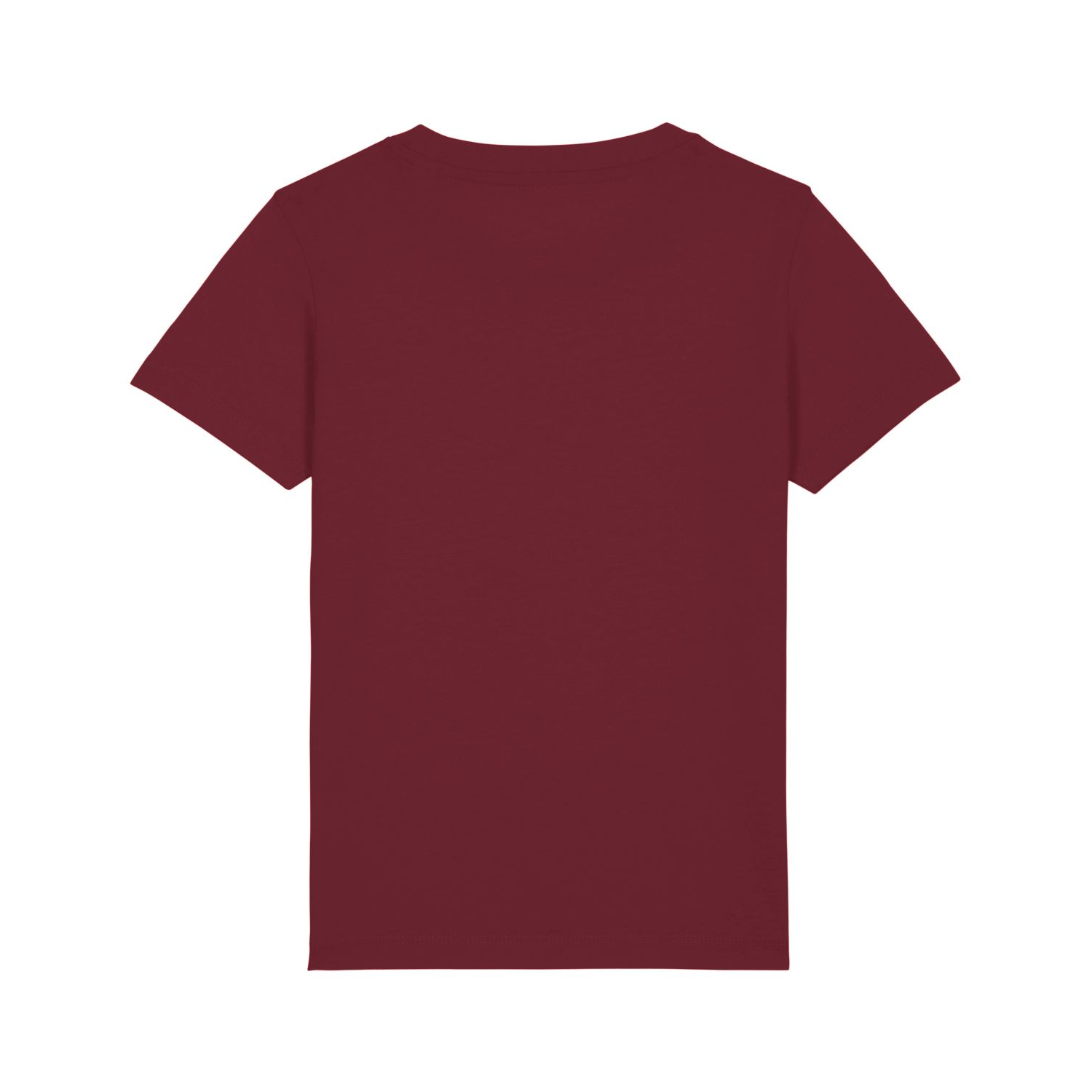 Premium Kinder Bio T-Shirt (RST)-13