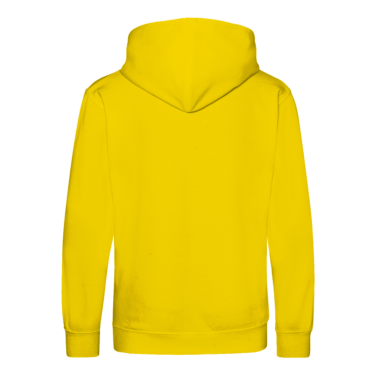 Premium Kinder Hoodie (RST)-zoom-5