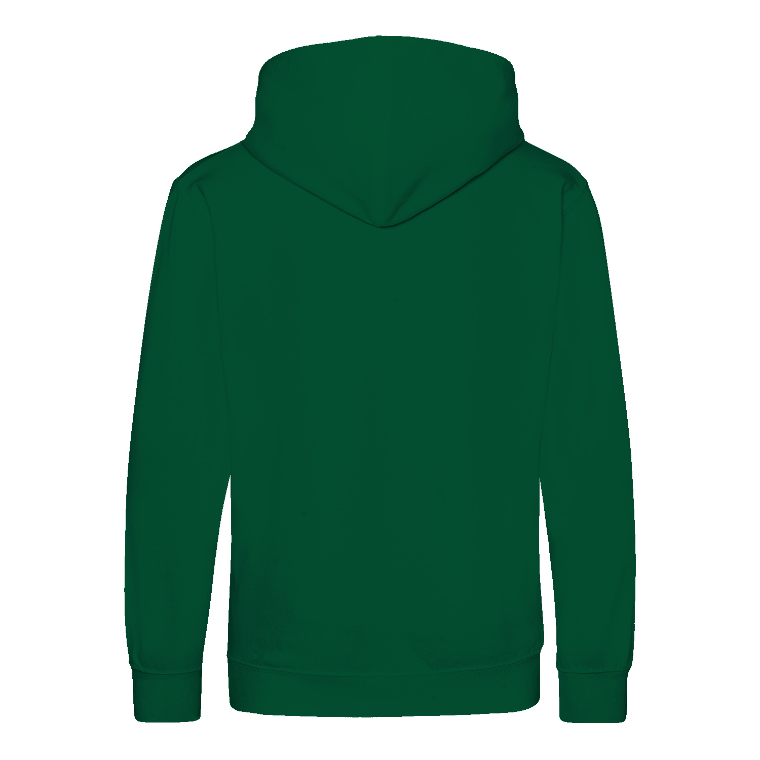 Premium Kinder Hoodie (RST)-zoom-23
