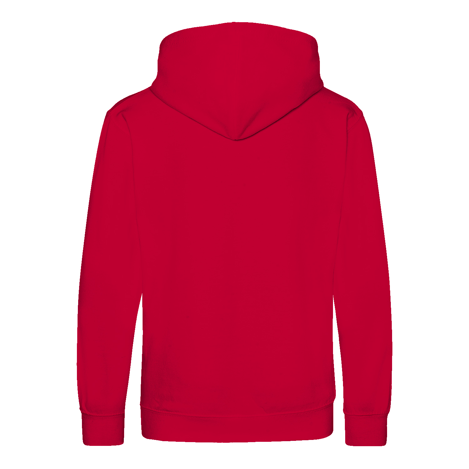 Premium Kinder Hoodie (RST)-zoom-17