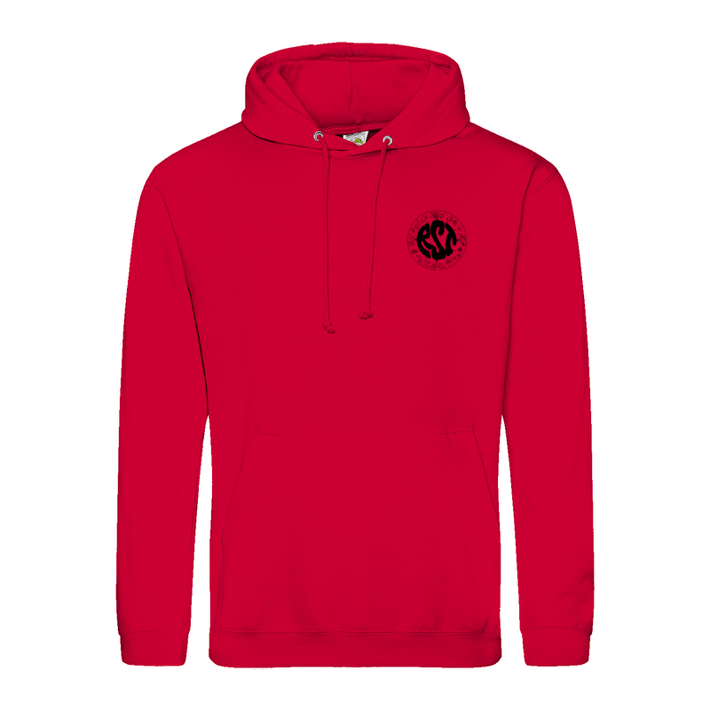 Premium Unisex Hoodie mit großem Rückenlogo (RST)-zoom-