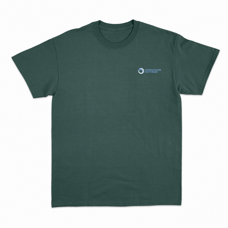 Premium Unisex T-Shirt (Gym Sottrum)-zoom-