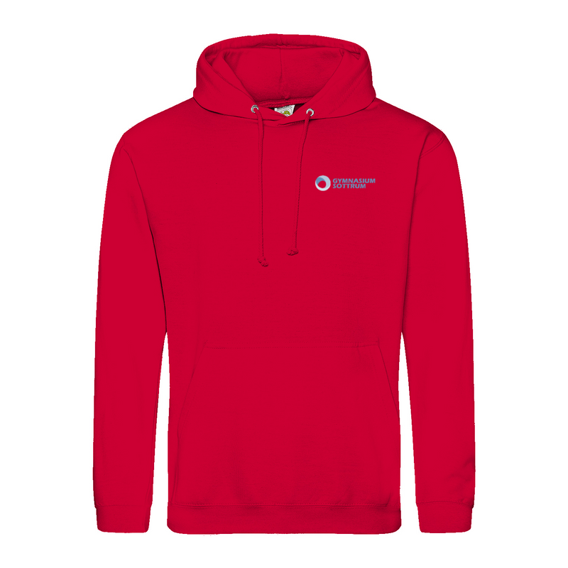 Premium Unisex Hoodie mit großem Rückenlogo (Gym Sottrum)-zoom-