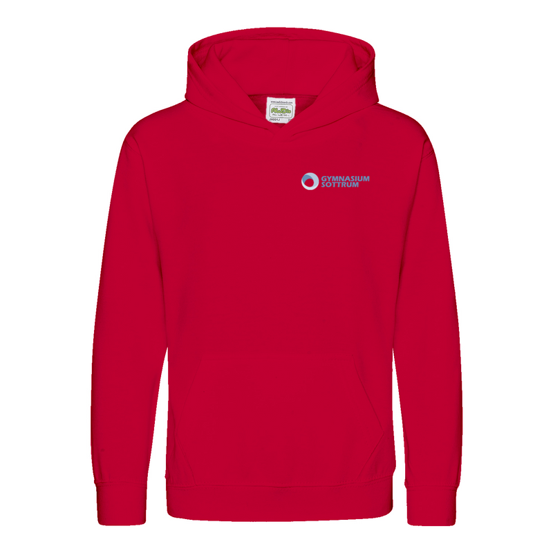 Premium Kinder Hoodie mit großem Rückenlogo (Gym Sottrum)-zoom-