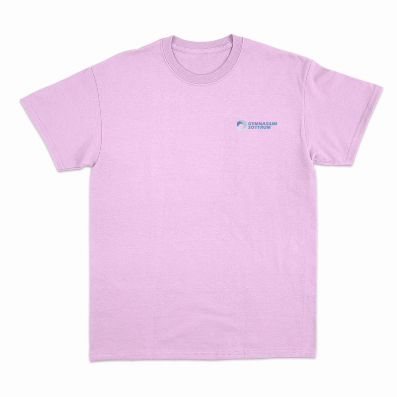 Premium Unisex T-Shirt mit großem Rückenlogo (Gym Sottrum)-zoom-