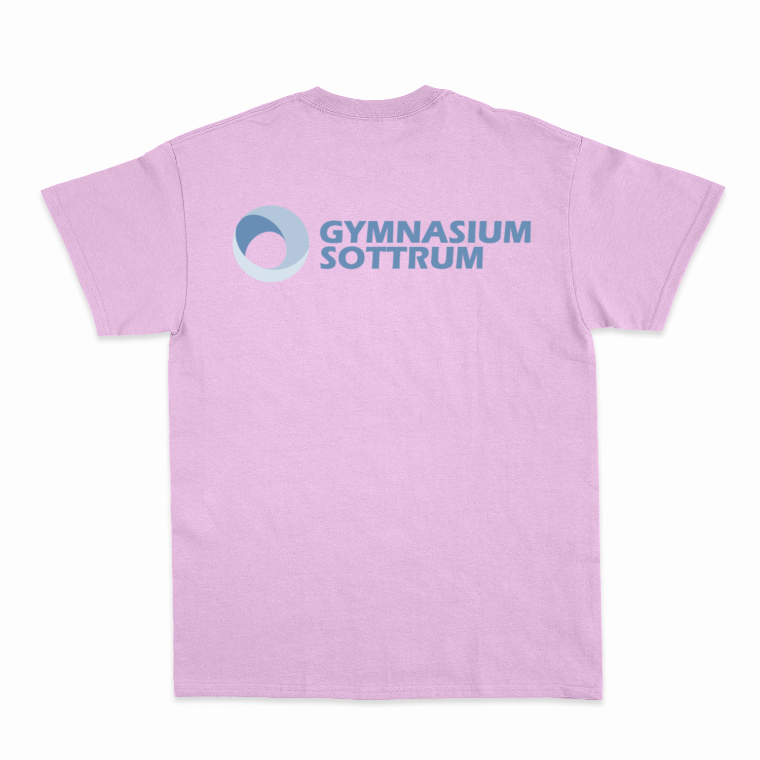 Premium Unisex T-Shirt mit großem Rückenlogo (Gym Sottrum)-13