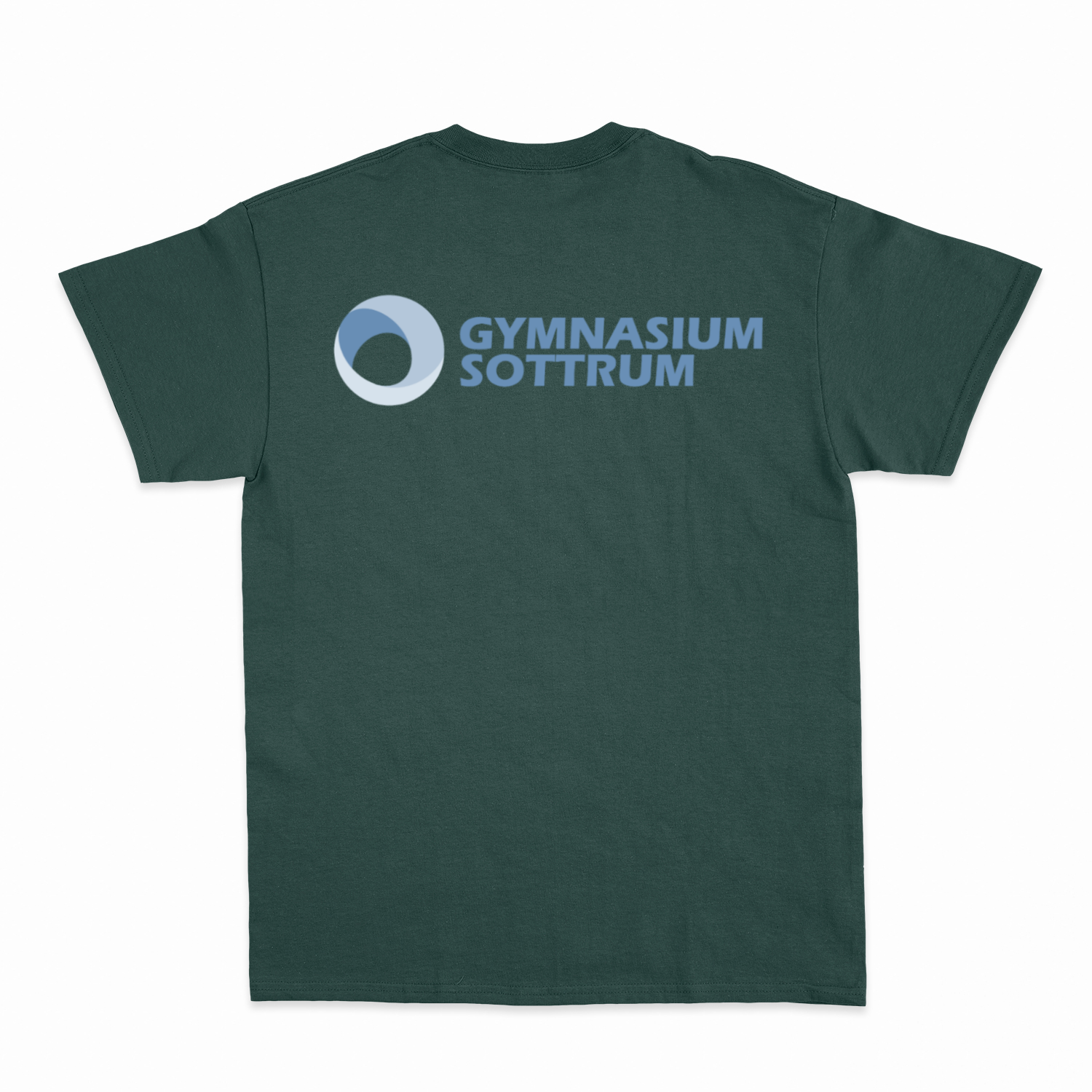 Premium Unisex T-Shirt mit großem Rückenlogo (Gym Sottrum)-21