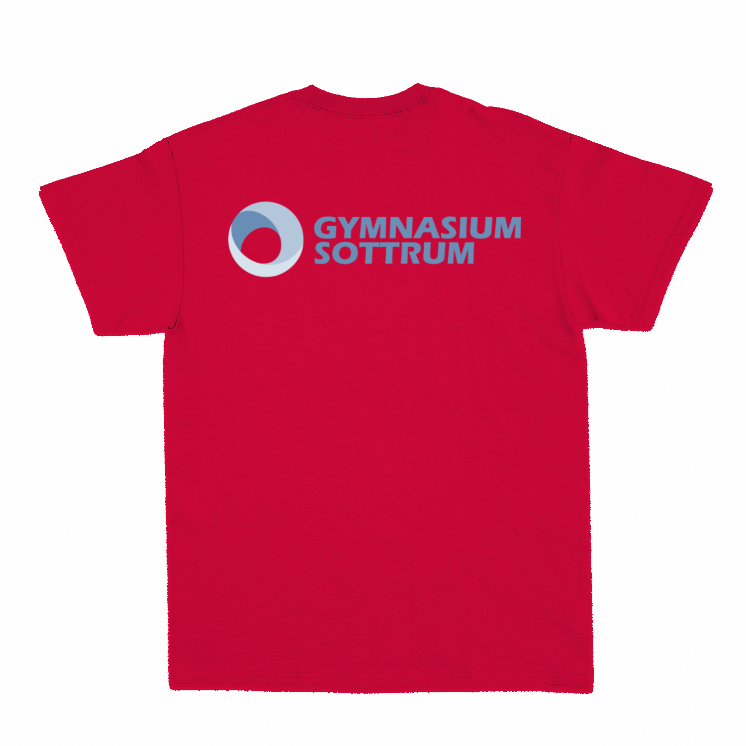 Premium Unisex T-Shirt mit großem Rückenlogo (Gym Sottrum)-zoom-31