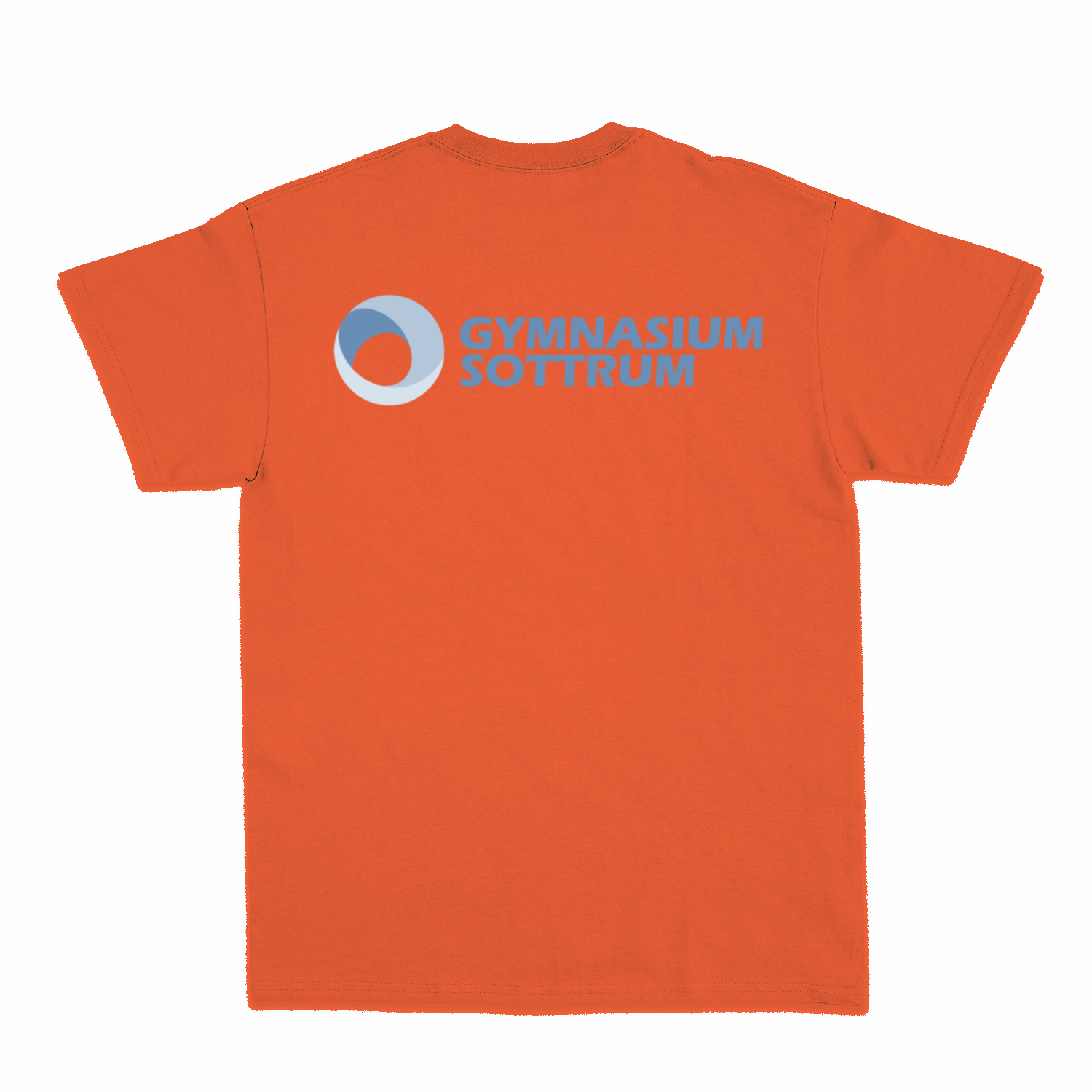 Premium Unisex T-Shirt mit großem Rückenlogo (Gym Sottrum)-33