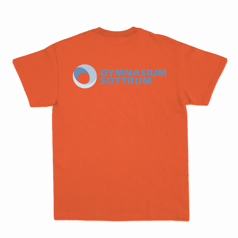 Premium Unisex T-Shirt mit großem Rückenlogo (Gym Sottrum)-zoom-