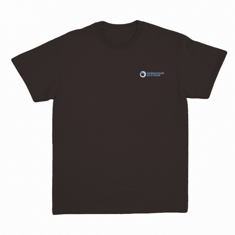 Premium Unisex T-Shirt mit großem Rückenlogo (Gym Sottrum)-zoom-