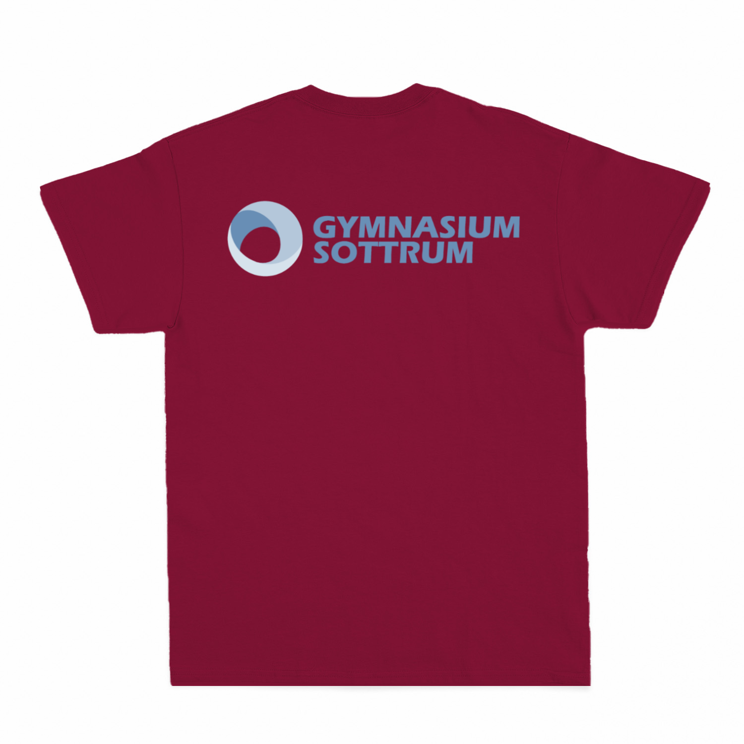Premium Unisex T-Shirt mit großem Rückenlogo (Gym Sottrum)-39