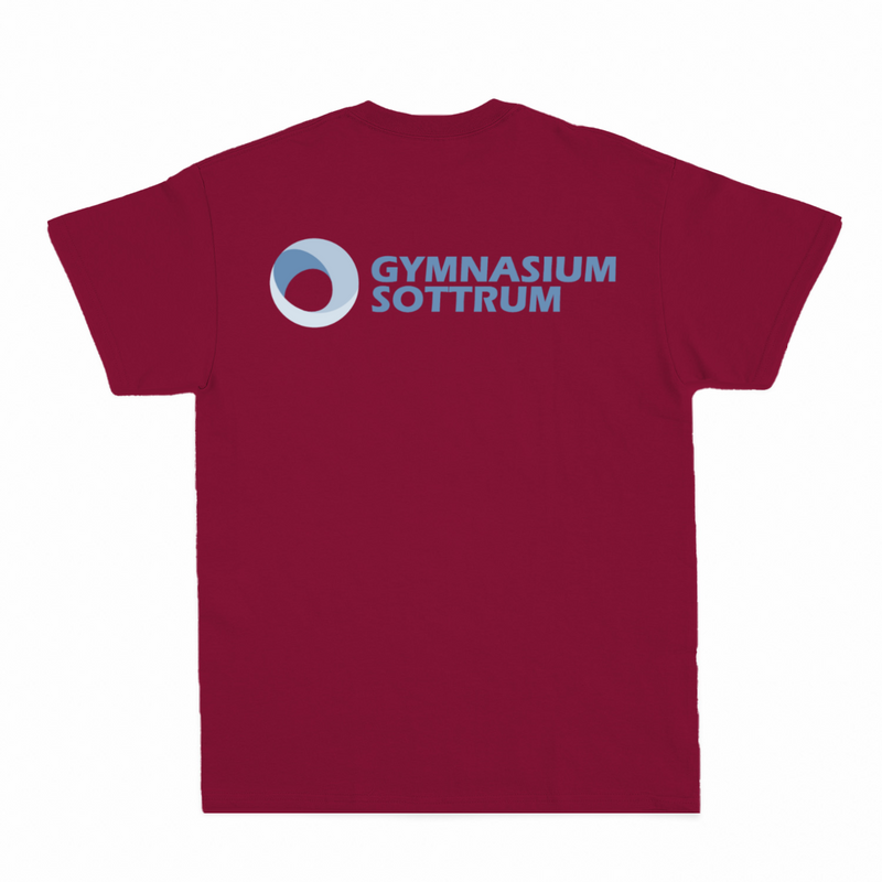 Premium Unisex T-Shirt mit großem Rückenlogo (Gym Sottrum)-zoom-