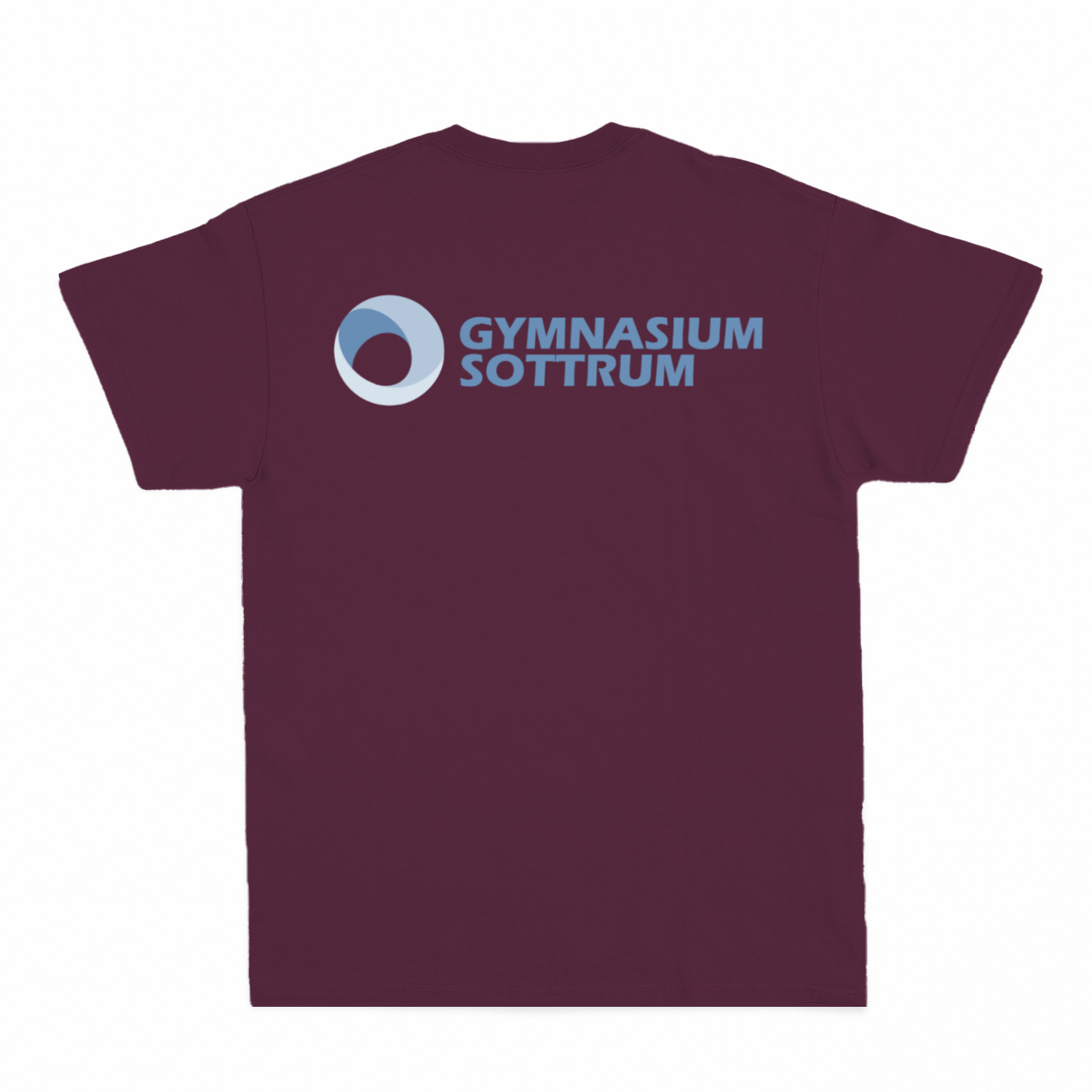 Premium Unisex T-Shirt mit großem Rückenlogo (Gym Sottrum)-zoom-43