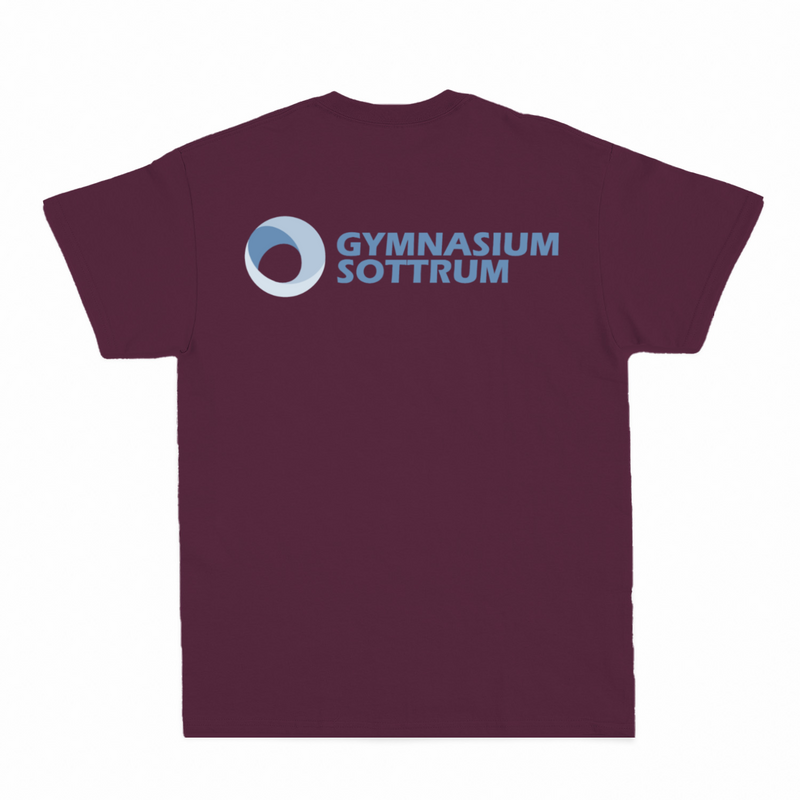 Premium Unisex T-Shirt mit großem Rückenlogo (Gym Sottrum)-zoom-