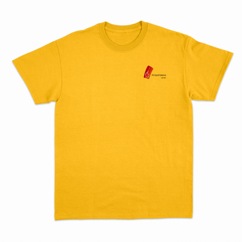 Unisex T-Shirt "Peter" mit großem Rückenlogo (Aggertal)-zoom-