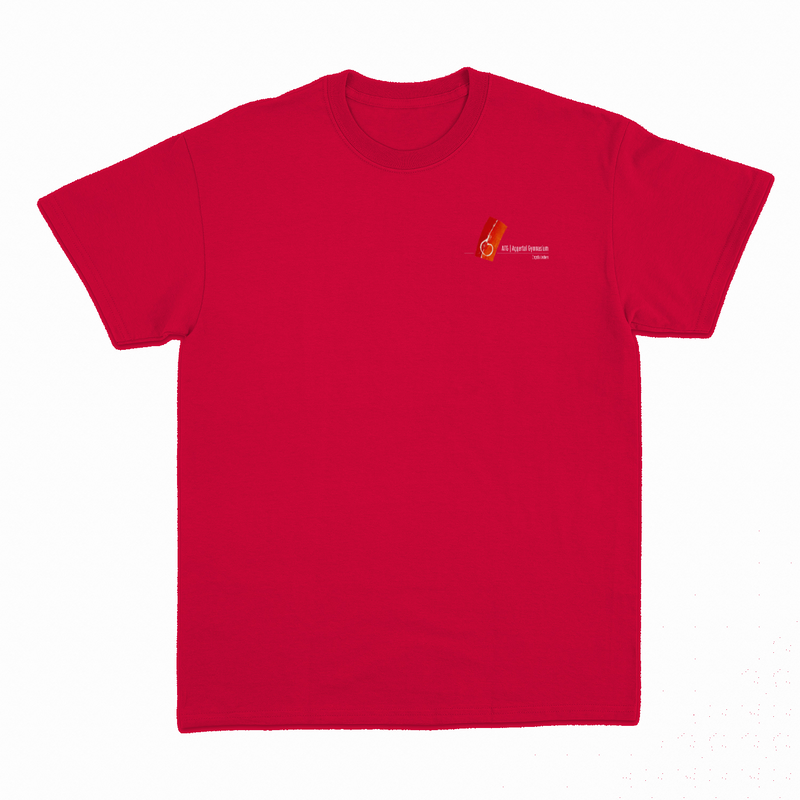 Unisex T-Shirt "Peter" mit großem Rückenlogo (Aggertal)-zoom-