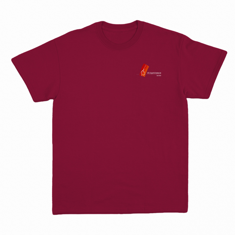 Unisex T-Shirt "Peter" mit großem Rückenlogo (Aggertal)-zoom-
